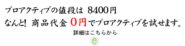 �v���A�N�e�B�u,�l�i,����,�ʔ�,��,�j�L�r